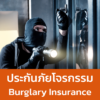 ประกันภัยโจรกรรม